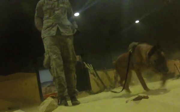 87th Security Forces Canine's Train at JT2DC