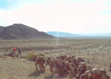 Decimating the Sand Box