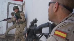 Iraqi Army Training