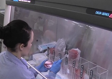 Navy Laboratory Technician: The Heartbeat of the Hospital