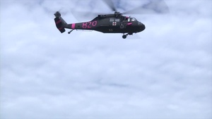 2015 California Wildfire Training