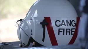 California Wildfire Training Exercise 2015