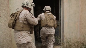U.S. Marines and Portuguese Fuzileiros Clear Building B-Roll