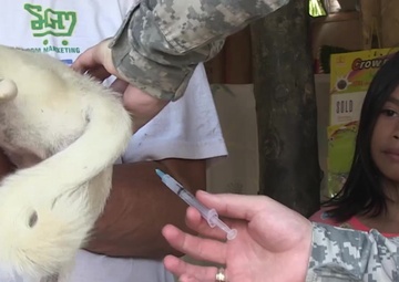 Balikatan 2015: Door to Door Vaccinations to Animals