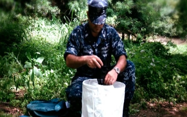 Chikungunya Awareness