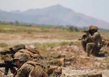 The Marines Have Landed