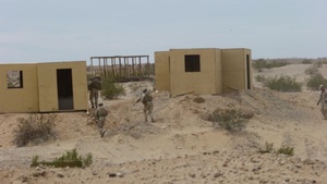 Final Exercise 3