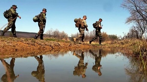 U.S. Marines Train with NATO Allies