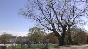Arlington National Cemetery - An Accredited Arboretum