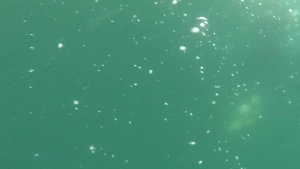 Coast Guard Divers Perform Decompression Dive