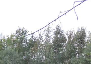 All Hands Update: Headlines for May 4, 2015