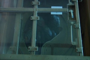 USARPAC-SU At the HMMWV Egress Assistance Trainer