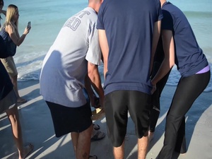 Coast Guard, MOTE Marine Laboratory release rehabilitated loggerhead sea turtle in Lido Key, Fla.