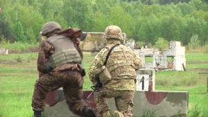 Fearless Guardian in Full Action