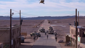 Army 240th Birthday B-Roll Footage NTC