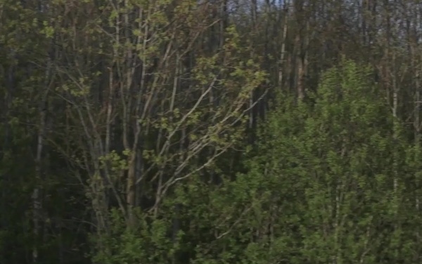 Exercise Siil / Steadfast Javelin, Estonia