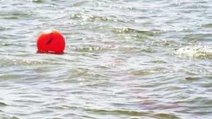 Partners in the Water