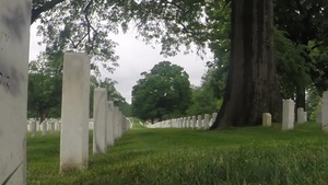 "Flags In" 2015 Time Lapse