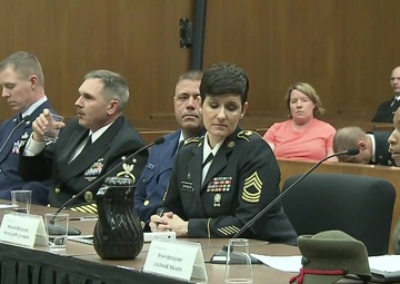 Judicial Proceedings Panel: Prevention &amp; Response to Retaliation Against Victims of Sexual Assault Crimes