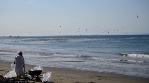 Refugio Spill Response