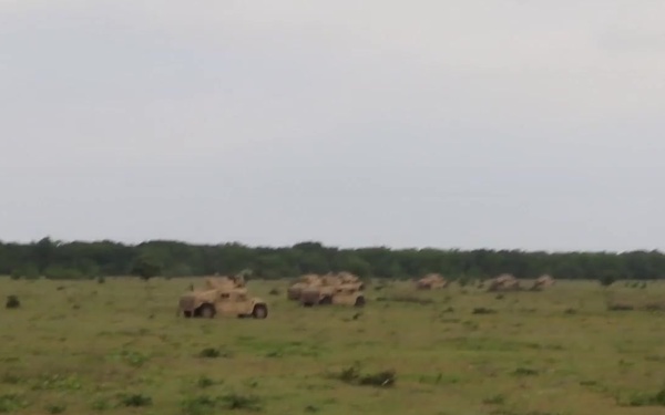 B-roll: Platinum Eagle: U.S., Romanian Mounted Assault