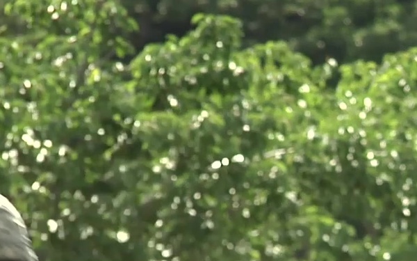 The Last Mile (broll)