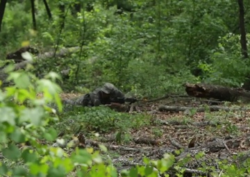 US Army Ranger Course Assessment