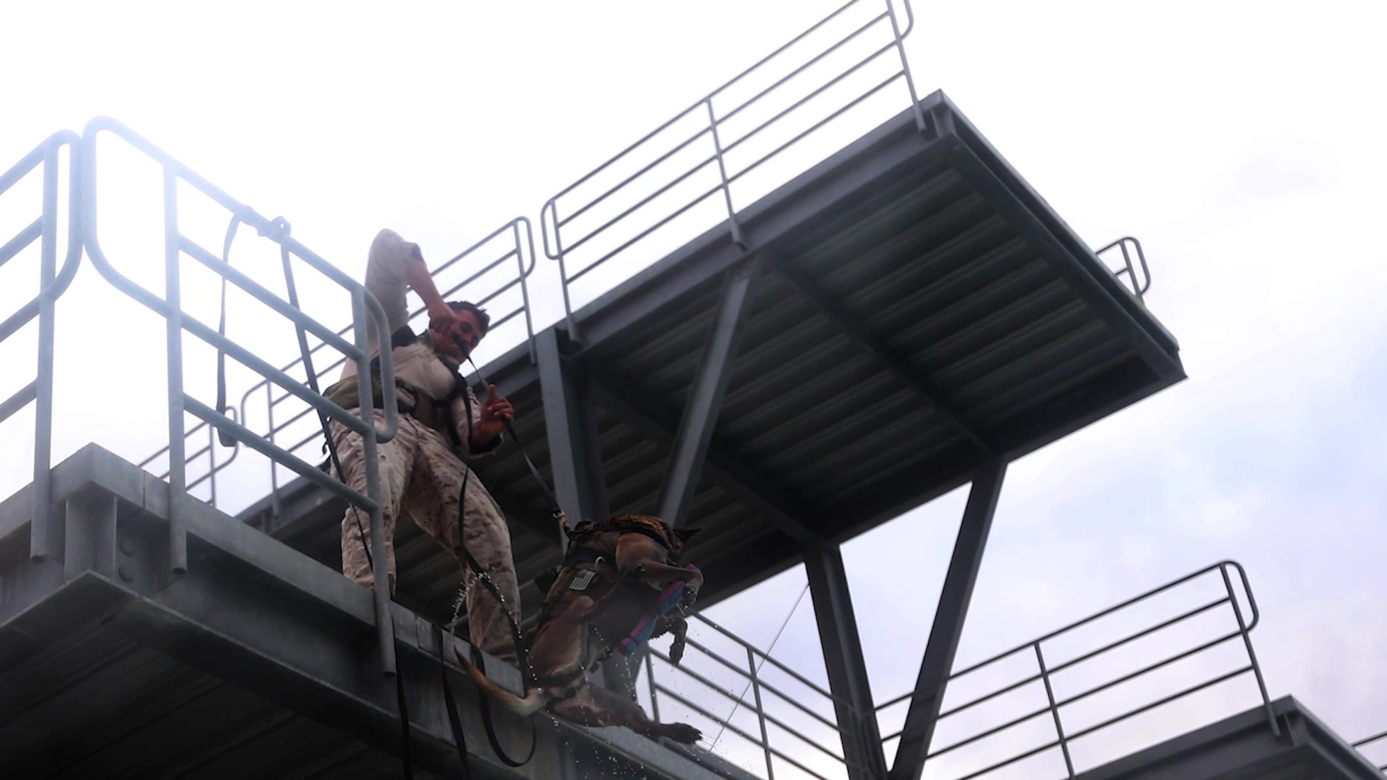 A Marine dog handler with 1st Marine Special Operations Support Battalion, and his Multi-Purpose Canine (MPC) participate in a Tactical Skills Package put on for enablers aboard Marine Corps Base Camp Pendleton, May 4-15.  The package allowed the dog team to show and practice amphibious skills as well as prepare the individuals for deployment with the MSOB.