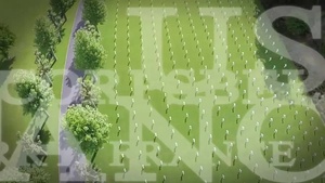 Aerial Views of Belleau Wood, France