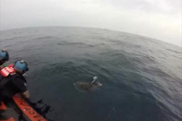 Coast Guardsmen Make Unique Rescue in the Eastern Pacific Ocean