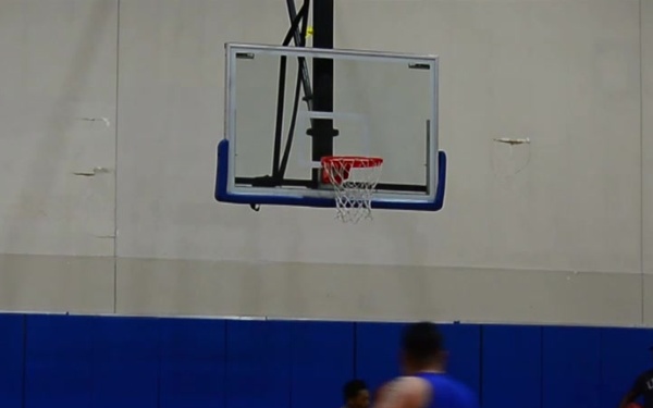 Wounded, Ill and Injured Sports