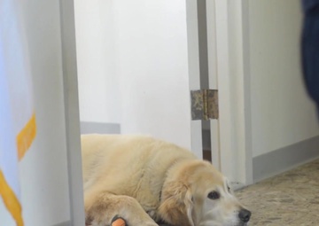 Coast Guard Station New York’s Unit Dog Mascot, Harry