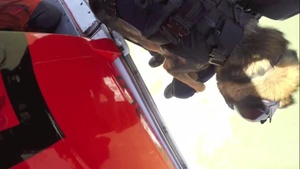 Coast Guard K9 Hoist Training