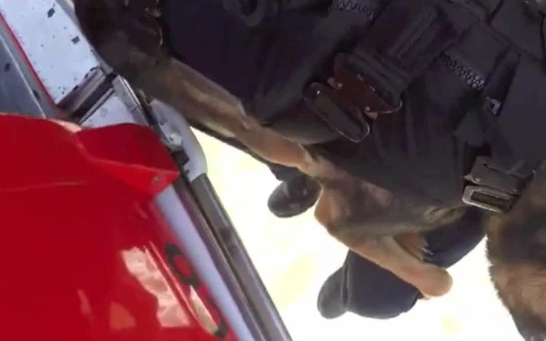 Coast Guard K9 Hoist Training