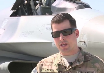 Ground Liaison Officer