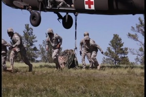 Golden Coyote Sling Load Training