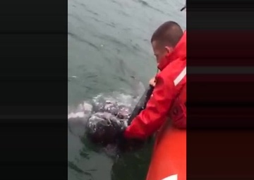 Coast Guard Station Montauk Rescues Turtle Caught in Line near Montauk, New York