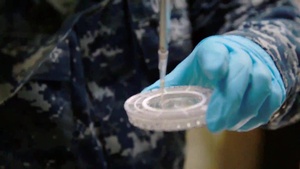 All Hands Update: Navy Medicine Celebrates 117 years
