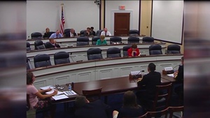 Committee on Armed Services: HASC/Seapower and Project Forces Subcommittee: Large Surface  Combatants