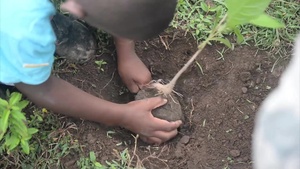 National Tree Day Brings Out New Horizons Volunteers to Local School