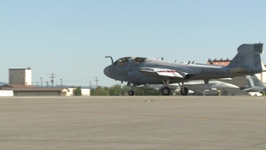 Northern Edge Prowler