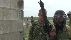 Tradewinds 2015 Close Quarter Combat Training