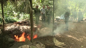 Tradewinds 2015 Jungle Warfare Training
