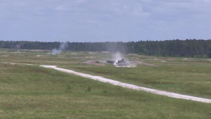 Tiger Competition