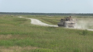 Tiger Competition
