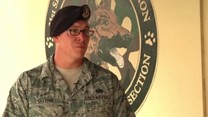 Air Force Report: MWDs