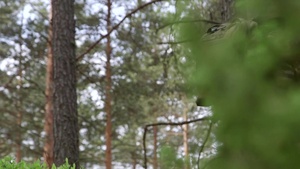 NATO’s Readiness Action Plan