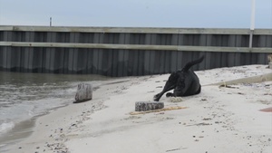 Coast Guard Station Jones Beach: Nike