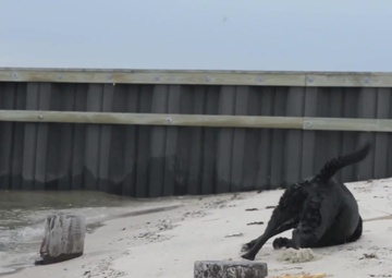 Coast Guard Station Jones Beach: Nike