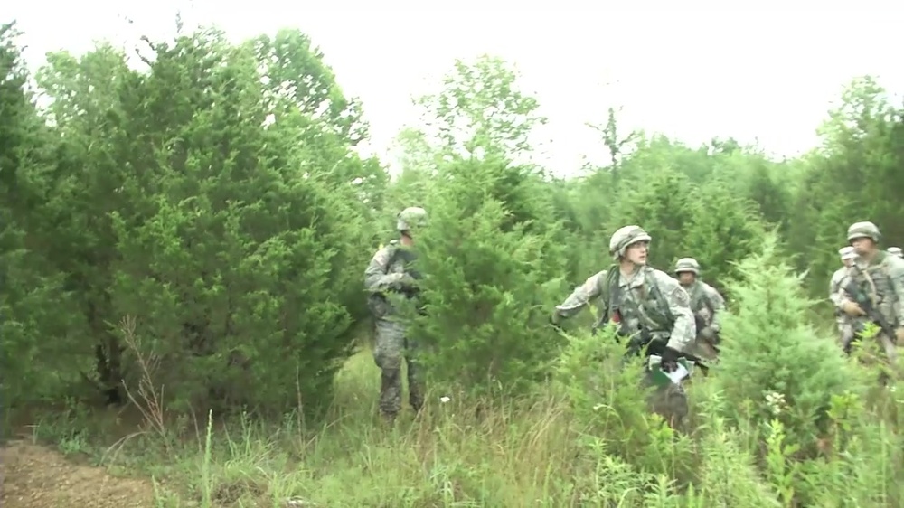 DVIDS Video Heat Cats